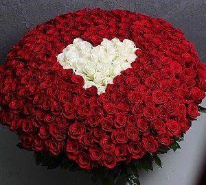 BotaniLumiCentra workshop space where corporate flower arrangements are designed and prepared for business delivery